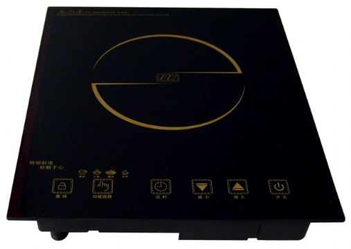 Built-In Induction Cooker